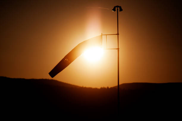 Cup of tea beside notebook